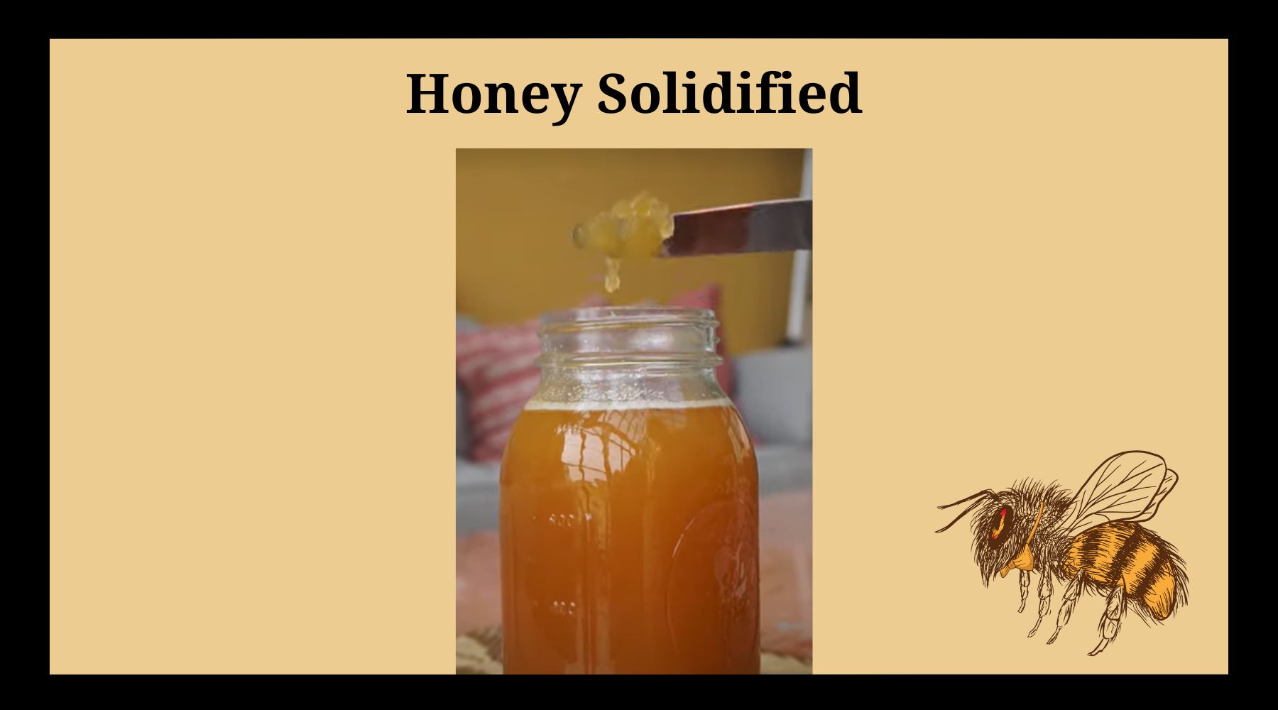 Honey Solidified – Farmer's Honey