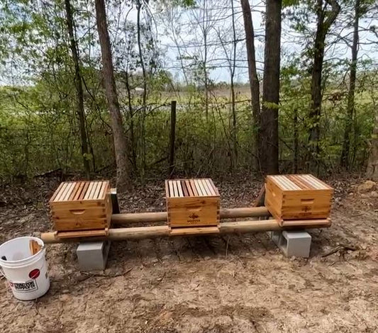 How To Build A DIY Beehive Stand For Under $30 That Will Last Forever