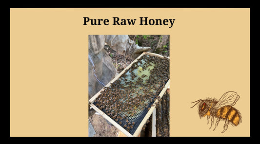 Pure Raw Honey - Bowtied Farmer