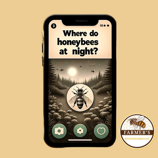 Where Do Bees Go At Night? - Bowtied Farmer